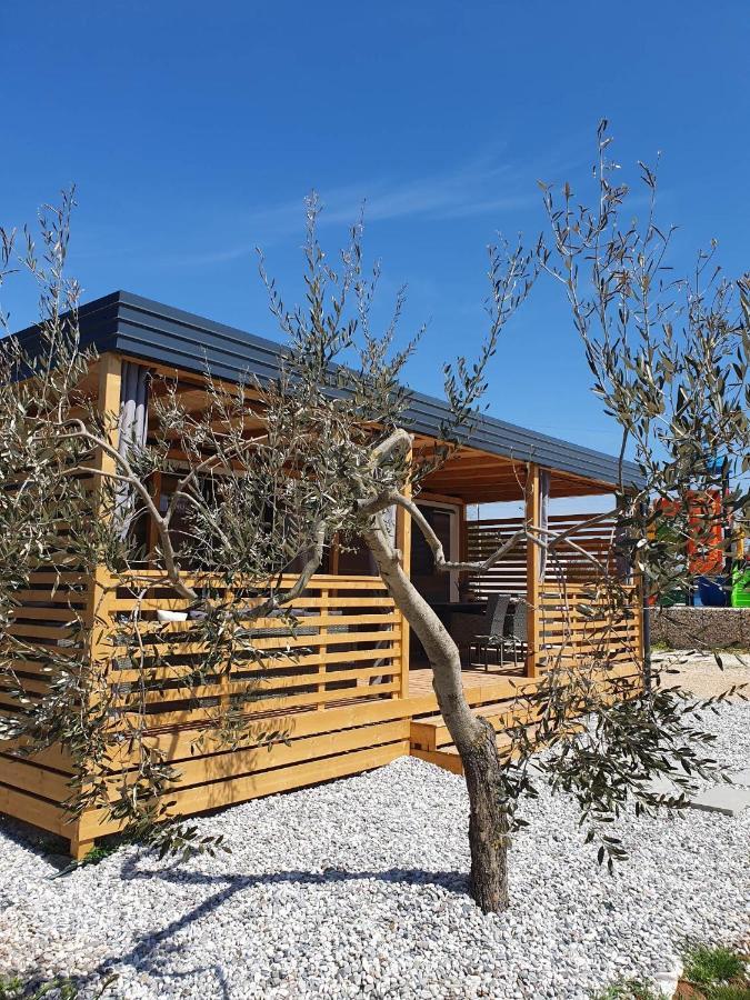 Mobile Homes Karlo & Dino PUY Rom bilde